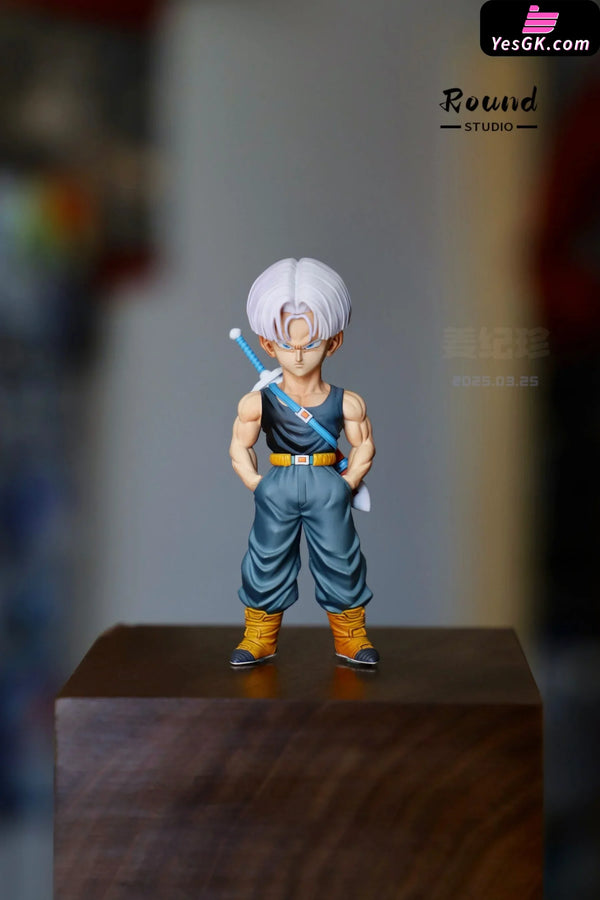 Dragon Ball Z Warrior Resonance Trunks GK Statue - Round Studio [Pre-Order] Deposit / B Version Dragon Ball