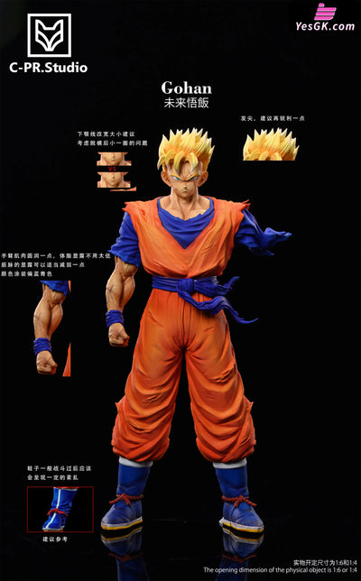 Dragon Ball Z Warrior Series: No.1 Future Gohan Statue - Cpr Studio [Pre-Order]