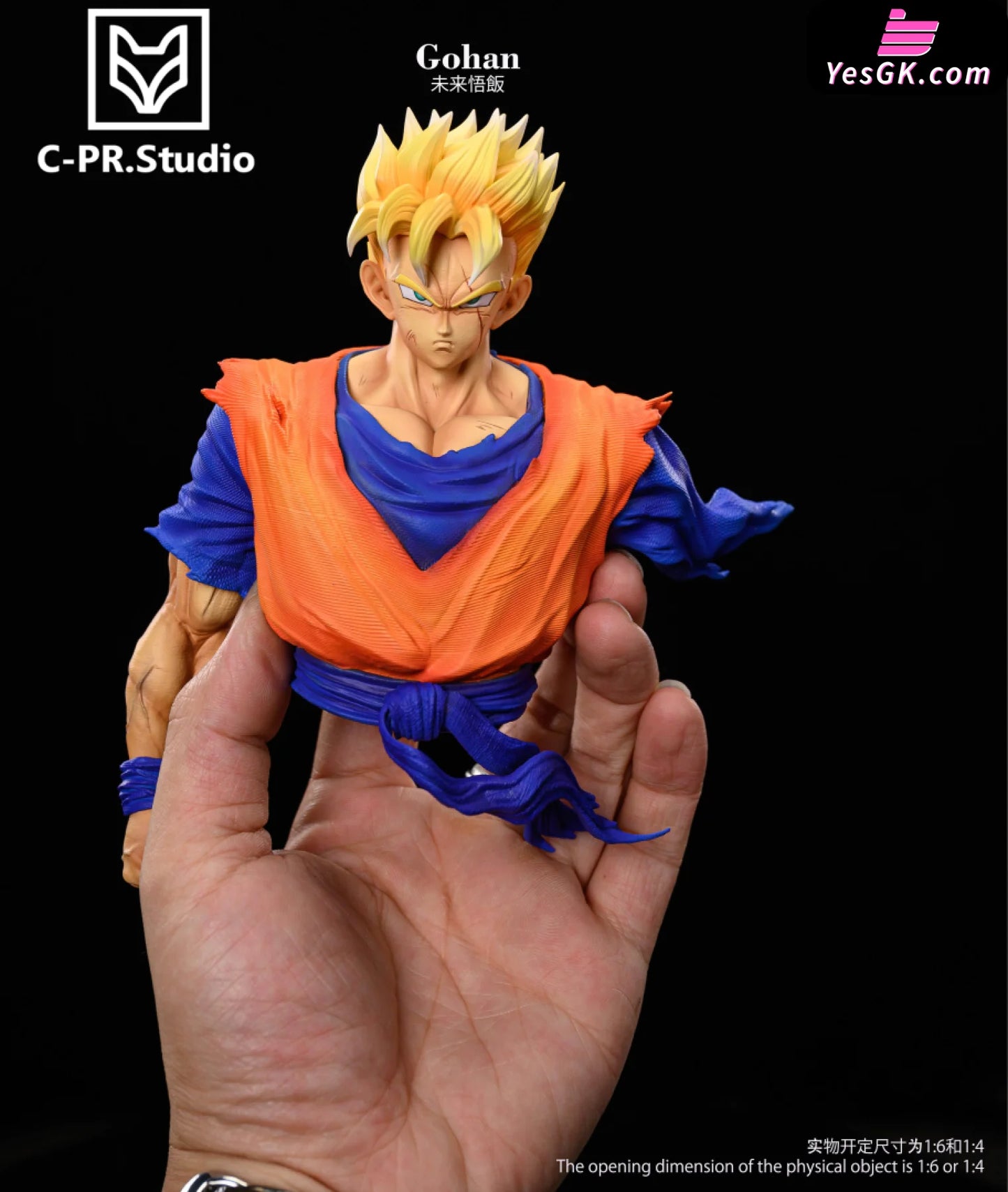 Dragon Ball Z Warrior Series: No.1 Future Gohan Statue - Cpr Studio [Pre-Order]