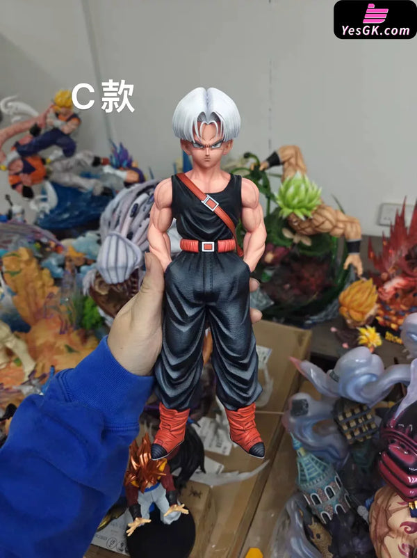 Dragon Ball Z Warriors Series Trunks 1/6 GK Statue - XG Studio [Pre-Order] - Deposit / C Version - DragonBall