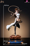 Dungeon Fighter Nen Master Resin Statue - Acy Studio [Pre - Order] Others