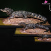 Earth’s Pulse: Chinese Alligator Licensed Statue - Aphid Studio [Pre-Order] - Full Payment / White Version / 1/10 Scale