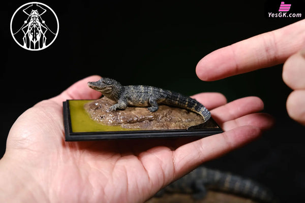 Earth’s Pulse: Chinese Alligator Licensed Statue - Aphid Studio [Pre-Order] - Chinese Style