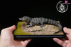 Earth’s Pulse: Chinese Alligator Licensed Statue - Aphid Studio [Pre-Order] - Chinese Style