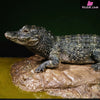 Earth’s Pulse: Chinese Alligator Licensed Statue - Aphid Studio [Pre-Order] - Chinese Style