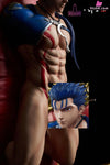 Fate/Stay Night Lancer Humiliation Play Statue - Bdsm Studio & Gentleman 18 Studio [Pre - Order]