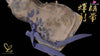 Genshin Impact Kamisato Ayaka Resin Statue - Only Love Workstation Studio [Pre - Order]