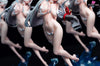 Genshin Impact Shenhe Statue HyperSpace Studio [In Stock] Genshin Impact