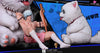 Gintama Hot Summer Statue - Lust Hub Studio [Pre-Order] Others