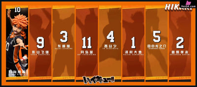 Haikyu!! #1 Shoyo Hinata Resin Statue - Hikari Studio [Pre-Order] Other Animes