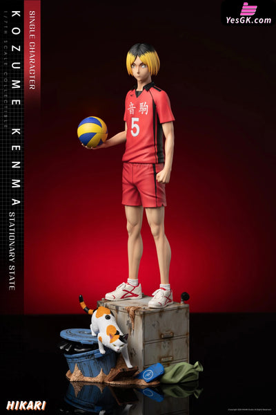 Haikyu!! Volleyball Boys Kenma Kozume Statue - Hikari Studio [Pre-Order] Deposit / Static