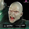 Harry Potter & Voldemort Statue - Tsume Studio [Pre-Order] Others