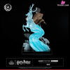 Harry Potter & Voldemort Statue - Tsume Studio [Pre-Order] Others