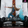 Harry Potter & Voldemort Statue - Tsume Studio [Pre-Order] Others