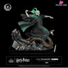 Harry Potter & Voldemort Statue - Tsume Studio [Pre-Order] Others