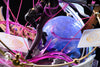 Honkai: Star Rail Kafka Resin Statue - Jimmy’s Studio [Pre - Order] Honkai