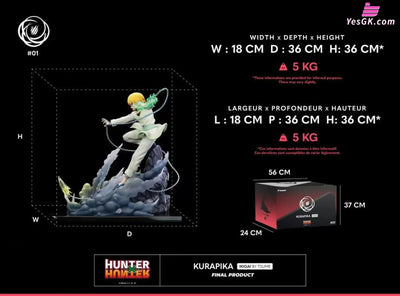 HxH Curarpikt Resin Statue - Tsume Studio [Pre-Order] HxH