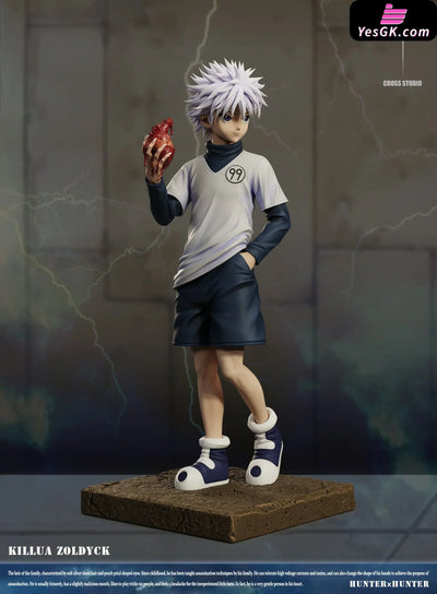HxH Dig out the heart Killua Resin Statue - Cross Studio [Pre-Order Closed] HxH