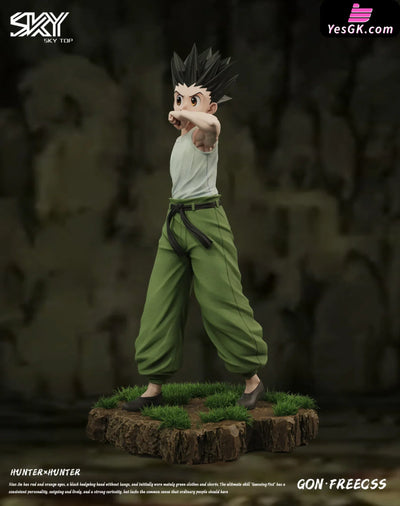 HxH Killua Zoldyck & Gon Freecss Resin Statue - Sky Top Studio [In-Stock] HxH