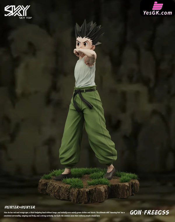 HxH Killua Zoldyck & Gon Freecss Resin Statue - Sky Top Studio [In-Stock] HxH