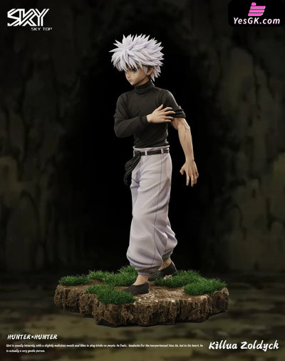 HxH Killua Zoldyck & Gon Freecss Resin Statue - Sky Top Studio [In-Stock] HxH