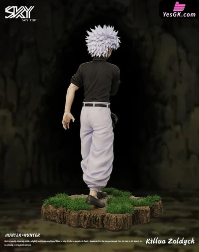 HxH Killua Zoldyck & Gon Freecss Resin Statue - Sky Top Studio [In-Stock] HxH