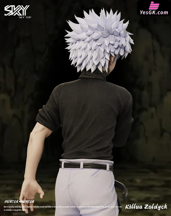 HxH Killua Zoldyck & Gon Freecss Resin Statue - Sky Top Studio [In-Stock] HxH