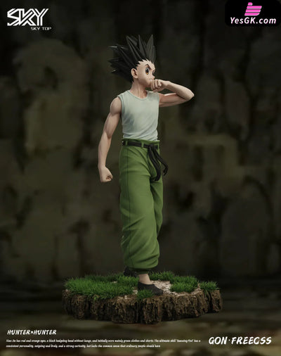 HxH Killua Zoldyck & Gon Freecss Resin Statue - Sky Top Studio [In-Stock] HxH