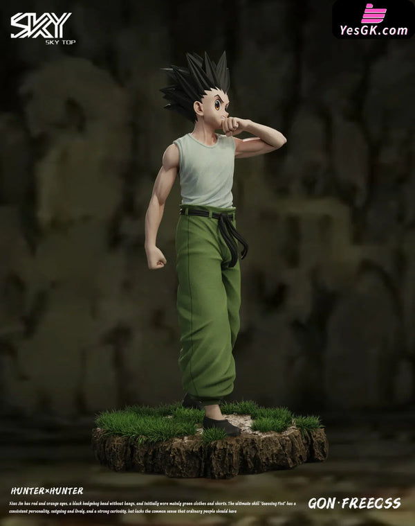 HxH Killua Zoldyck & Gon Freecss Resin Statue - Sky Top Studio [In-Stock] HxH