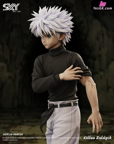 HxH Killua Zoldyck & Gon Freecss Resin Statue - Sky Top Studio [In-Stock] HxH