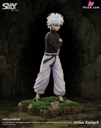 HxH Killua Zoldyck & Gon Freecss Resin Statue - Sky Top Studio [In-Stock] HxH
