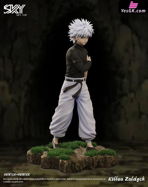 HxH Killua Zoldyck & Gon Freecss Resin Statue - Sky Top Studio [In-Stock] HxH