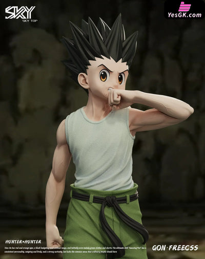 HxH Killua Zoldyck & Gon Freecss Resin Statue - Sky Top Studio [In-Stock] HxH