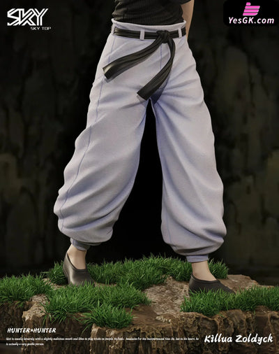 HxH Killua Zoldyck & Gon Freecss Resin Statue - Sky Top Studio [In-Stock] HxH