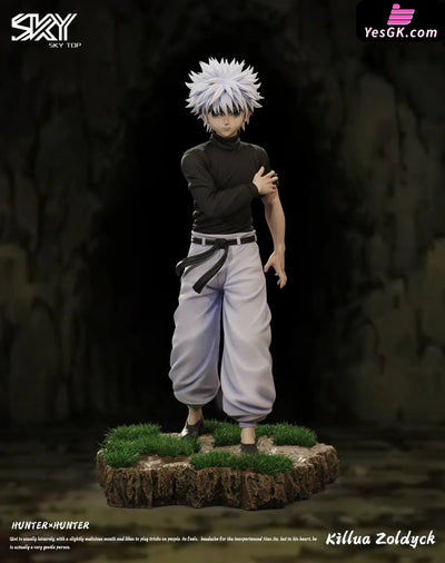 HxH Killua Zoldyck & Gon Freecss Resin Statue - Sky Top Studio [In-Stock] Full Payment / Killua Zoldyck HxH