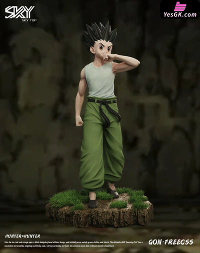 HxH Killua Zoldyck & Gon Freecss Resin Statue - Sky Top Studio [In-Stock] Full Payment / Gon Freecss HxH