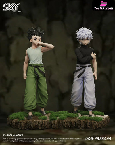 HxH Killua Zoldyck & Gon Freecss Resin Statue - Sky Top Studio [In-Stock] Full Payment / A set HxH
