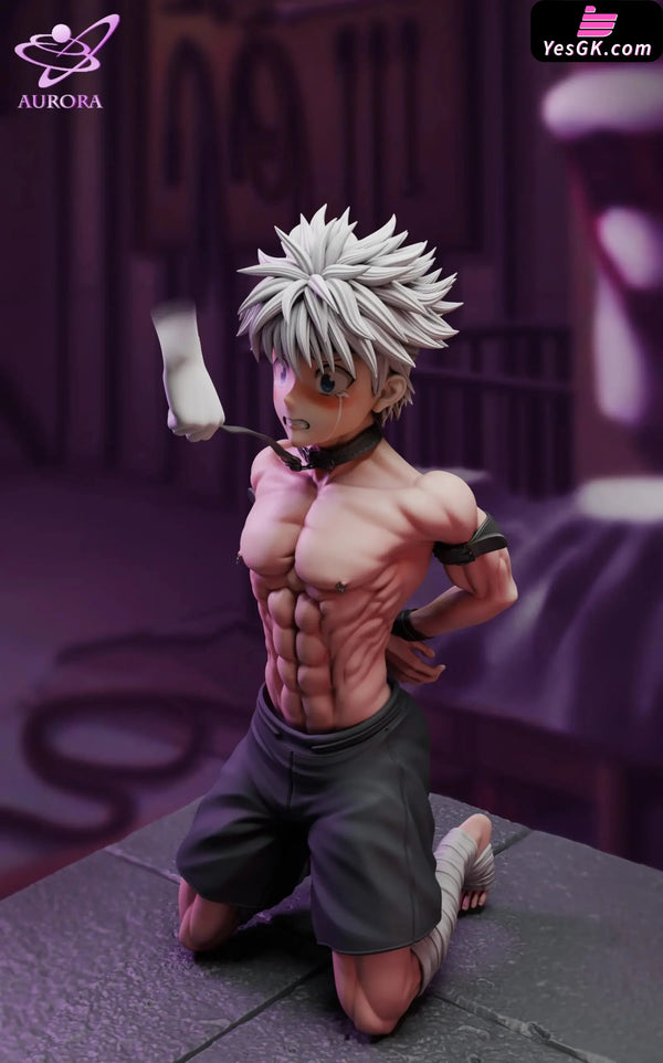 HxH Tied Killua 1/6 GK Statue - Aurora Studio [Pre-Order] HxH
