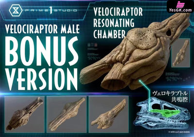 Jurassic Park Male Velociraptor Statue - Prime 1 Studio [Pre - Order] Deposit / Bonus Version Others