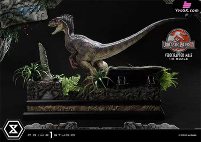 Jurassic Park Male Velociraptor Statue - Prime 1 Studio [Pre - Order] Others