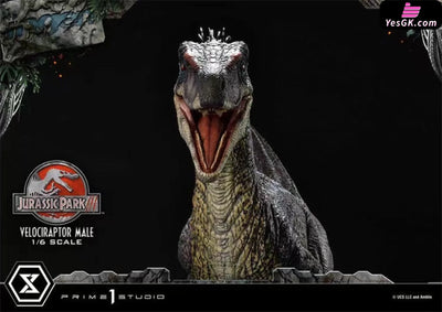 Jurassic Park Male Velociraptor Statue - Prime 1 Studio [Pre - Order] Others
