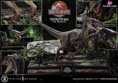 Jurassic Park Male Velociraptor Statue - Prime 1 Studio [Pre - Order] Others