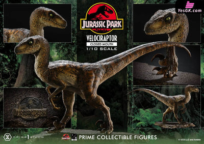 Jurassic Park Velociraptor Pcfjp-08 (Licensed) Statue - Prime 1 Studio [Pre-Order] Deposit / 1/10