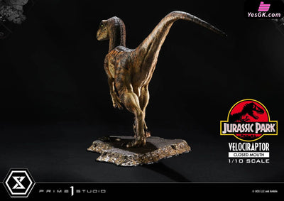 Jurassic Park Velociraptor Pcfjp-08 (Licensed) Statue - Prime 1 Studio [Pre-Order] Others