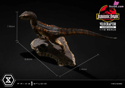 Jurassic Park Velociraptor Pcfjp-08 (Licensed) Statue - Prime 1 Studio [Pre-Order] Others