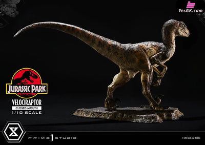 Jurassic Park Velociraptor Pcfjp-08 (Licensed) Statue - Prime 1 Studio [Pre-Order] Others