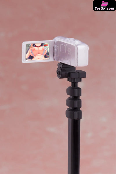 Kaihatsu Nikki Chizuru chan DX 1/5 Figure - Native [In-Stock] Full Payment Others