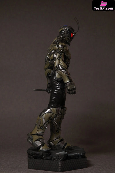 Kamen Rider Puhita-00 Resin Statue - East & West Studio [Pre-Order]