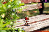 Kamen Rider Series #1 Kuuga Ultimate Mighty Form GK Statue - 7°C Studio [Pre-Order] Kamen Rider