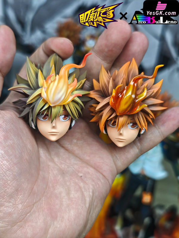Katekyo Hitman Reborn Sawada Tsunayoshi the Tenth Generation Leader of the Vongola GK Statue - Ji ke Studio &
